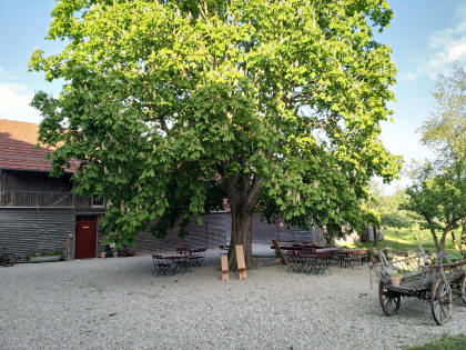 mostgarten